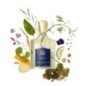 Erolfa - Eau de parfum - Creed - Une croisère en Méditerranée, la brise, les embruns Erolfa - Eau de parfum - Creed - Une croisère en Méditerranée, la brise, les embruns