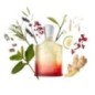 Original Santal - Eau de parfum - Creed - Les mystères de l'inde Original Santal - Eau de parfum - Creed - Les mystères de l'inde