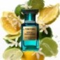 Neroli Portofino - Eau de parfum - Tom Ford - Fraîcheur de la brise, éclat de l'eau claire Neroli Portofino - Eau de parfum - Tom Ford - Fraîcheur de la brise, éclat de l'eau claire