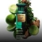 Azur lime - Eau de parfum - Tom Ford (50 ml) Sensation de chaleur et de luminosité Azur lime - Eau de parfum - Tom Ford (50 ml) Sensation de chaleur et de luminosité