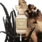 Vanilla Sex - Eau de parfum - Tom Ford - Inoubliable, seduisant, glamour Vanilla Sex - Eau de parfum - Tom Ford - Inoubliable, seduisant, glamour