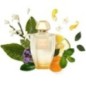 Zeste de mandarine - Eau de toilette - Creed (100 ml) Jolie mandarine acidulée Zeste de mandarine - Eau de toilette - Creed (100 ml) Jolie mandarine acidulée