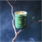 Forêt d'hiver - Bougie - Carriere Frères (185 g) Richesse des forêts en saison d'hiver Forêt d'hiver - Bougie - Carriere Frères (185 g) Richesse des forêts en saison d'hiver