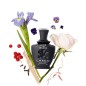 Love in black - Eau de parfum - Creed - Richesse de fleurs et violette poudrée Love in black - Eau de parfum - Creed - Richesse de fleurs et violette poudrée