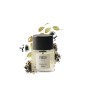 Dandy or not GA - Eau de parfum - Parfums d'orsay - L'amour désinvolte Dandy or not GA - Eau de parfum - Parfums d'orsay - L'amour désinvolte