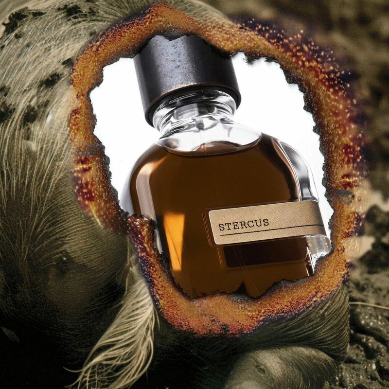 Stercus - Orto Parisi