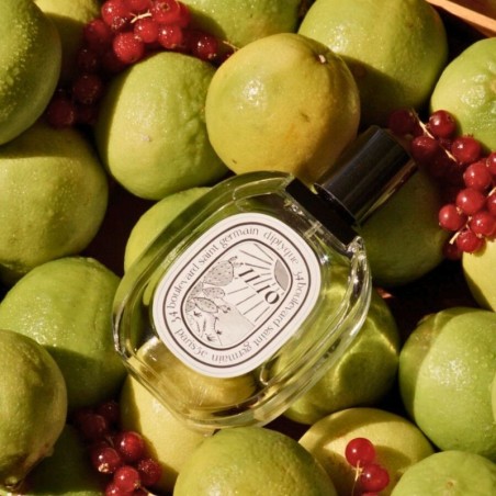 Ilio - Eau de toilette - Diptyque (100 ml) invitation à une pause délassante et ensoleillée au bord de la Méditerranée